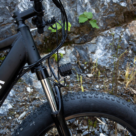 Glfora EBike 1000W Fat Tire Electric Bike for Adults | Free-Shipping