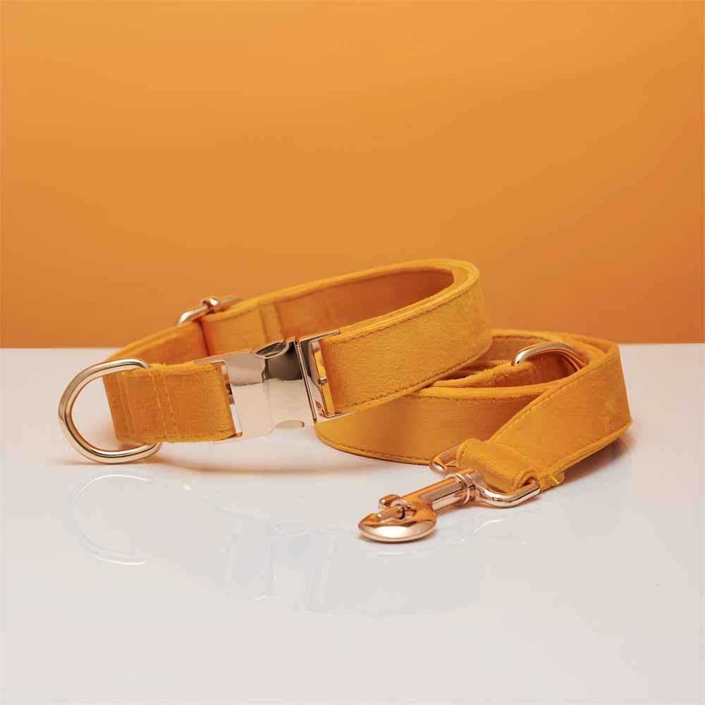 Luxury Velvet Personalized Dog Collar & Leash Set with Bow | Custom Pet Gift