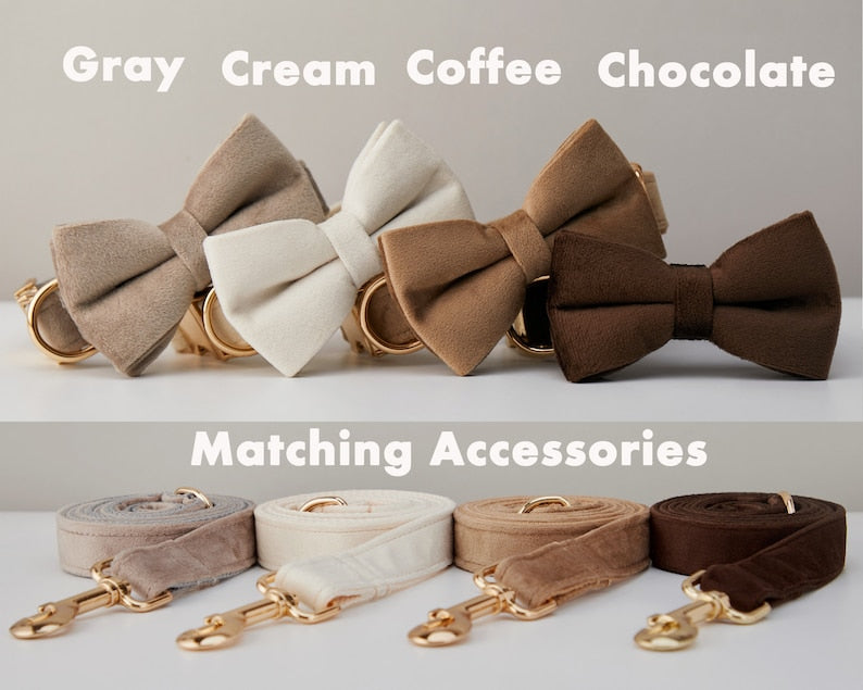 Luxury Velvet Personalized Dog Collar & Leash Set with Bow