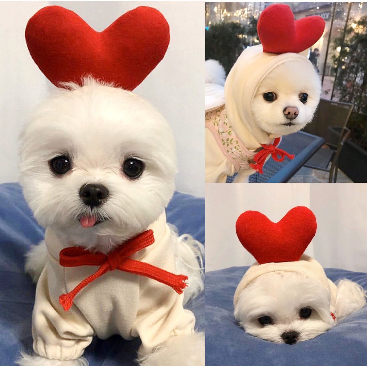 Small Dog Hoodie – Cute Fruit Fleece Coat for Puppies, Cats, Chihuahua