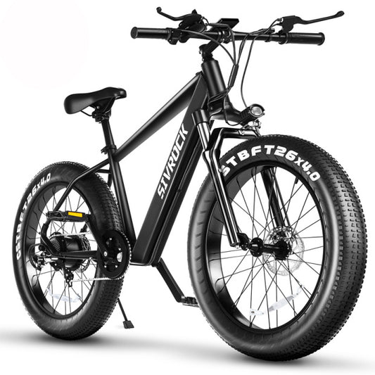 Professional 1000W Fat Tire Electric Bike for Adults | 48V 15Ah Ebike