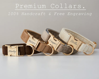 Luxury Velvet Personalized Dog Collar & Leash Set with Bow