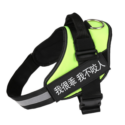 Personalized Dog Harne Reflective Breathable Adjustable Pet Harness For Small Large Dog