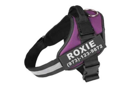 Personalized Dog Harne Reflective Breathable Adjustable Pet Harness For Small Large Dog
