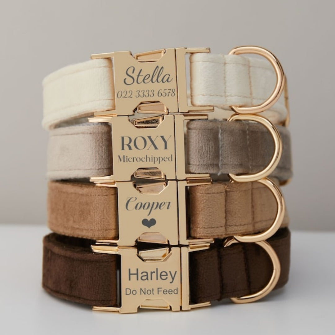 Luxury Velvet Personalized Dog Collar & Leash Set with Bow