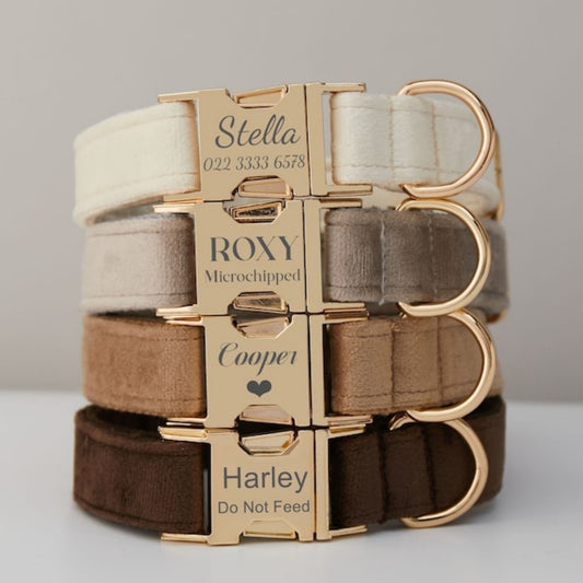 Luxury Velvet Personalized Dog Collar & Leash Set with Bow