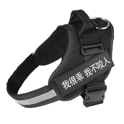 Personalized Dog Harne Reflective Breathable Adjustable Pet Harness For Small Large Dog