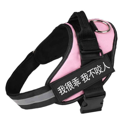 Personalized Dog Harne Reflective Breathable Adjustable Pet Harness For Small Large Dog
