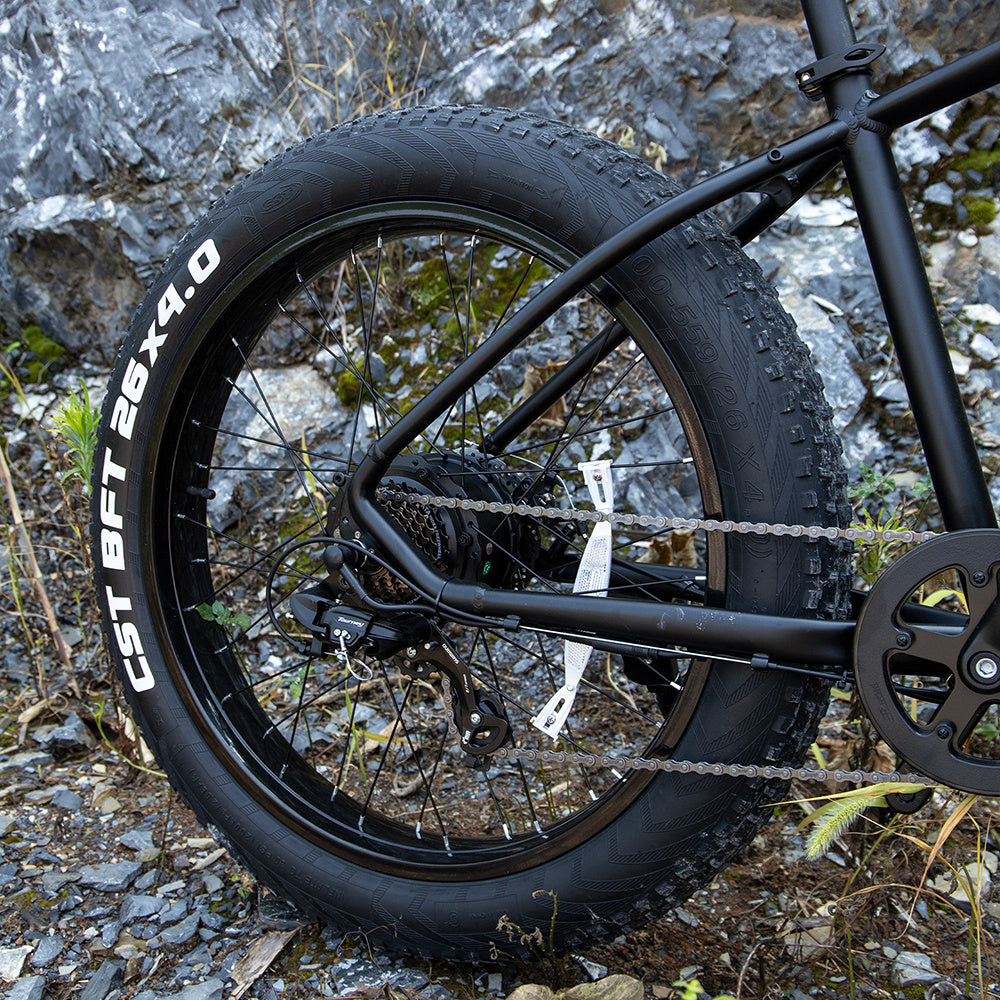 Glfora EBike 1000W Fat Tire Electric Bike for Adults | Free-Shipping
